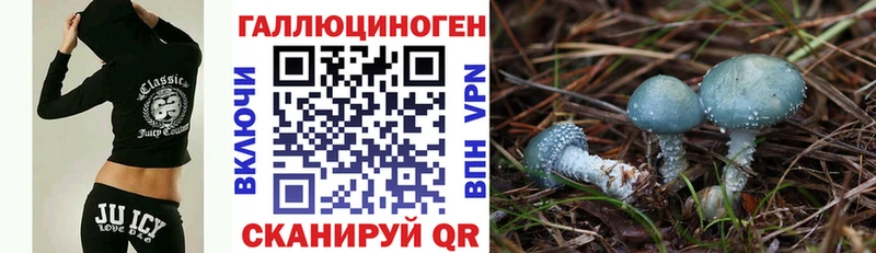 Псилоцибиновые грибы GOLDEN TEACHER  наркотики  Сибай 